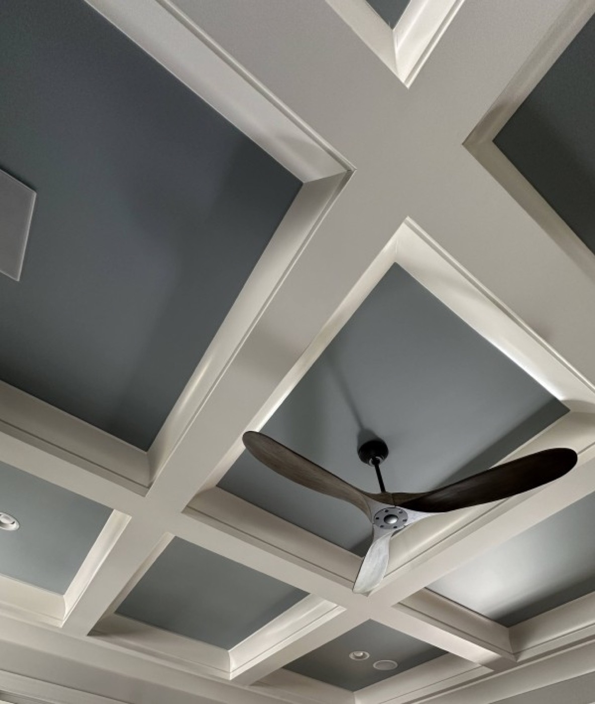 A two-tone coffered ceiling, cut in by hand.
